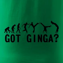 Capoeira - Got Ginga Capoeira - Got Ginga