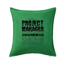 Being A Project Manager - bike