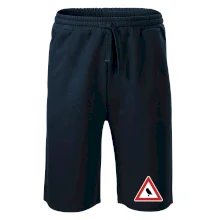 Dopravní značka - Pozor sova