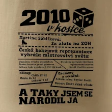 2010 v kostce