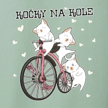 Kočky na kole