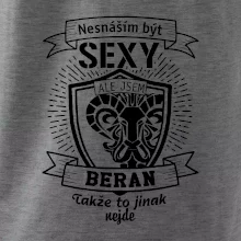 Nesnáším být tak skvělý - Beran