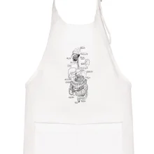 Skica lidských orgánů