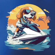 Bígl na vodním skútru