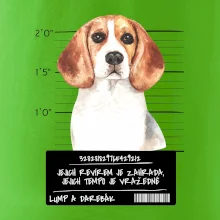 Lump a darebák bígl