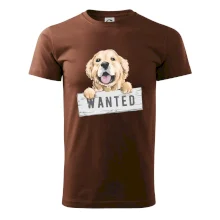 Zlatý retriever - štěně wanted