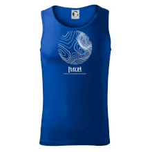 Plechý - vrstevnice v kruhu