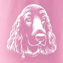 Kokršpaněl - hlava kreslená