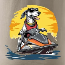 Chrt na vodním skútru