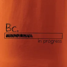 In progress  titul Bc. bakalář / bakalářka