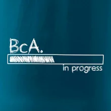 In progress  titul BcA. bakalář / bakalářka umění