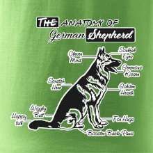 Německý ovčák - Anatomie
