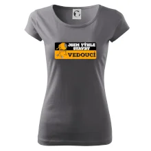 Jsem týhle stavby vedoucí