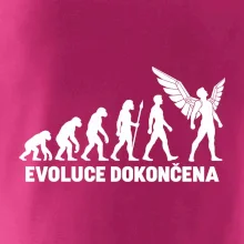 Pilot - Evoluce dokončena