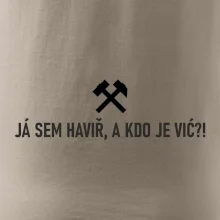 JÁ SEM HAVIŘ, A KDO JE VIĆ?!﻿