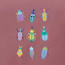 Barevní brouci (studio-arte.cz)