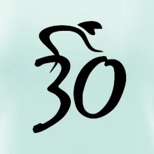 Cyklista slaví třicítku (30)