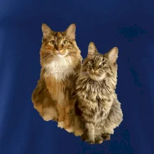 Kočky vectorizované  (Moňas)