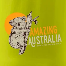 Amazing Australia koala