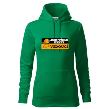 Jsem týhle stavby vedoucí