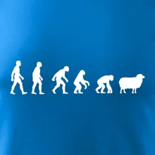 Evoluce ovce