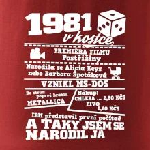 1981 v kostce