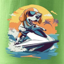 Bígl na vodním skútru