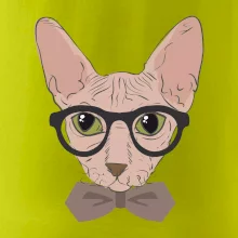 Hipster sphynx