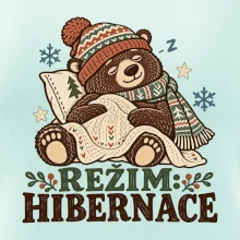 Rodinná vánoční trička - Režim hibernace zimní medvěd táta