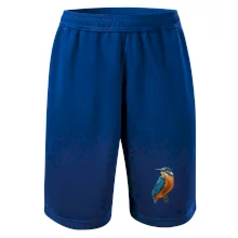 Lednáček kreslený