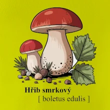 Hřib smrkový - Boletus edulis kreslený