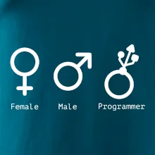 Female male programmer