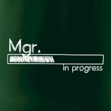 In progress titul Mgr.  magistr / magistra