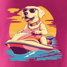 Zlatý retrívr na vodním skútru