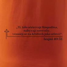 Citáty z bible - Izajáš 40:31