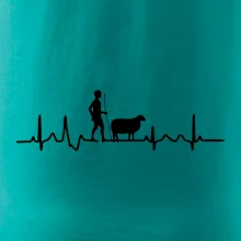 Ekg pastevec ovcí