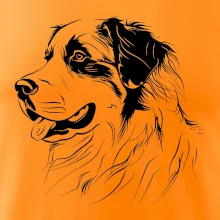 Bernský salašnický pes černá kresba