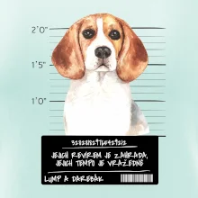 Lump a darebák bígl