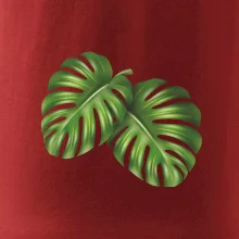 Monstera - dva listy