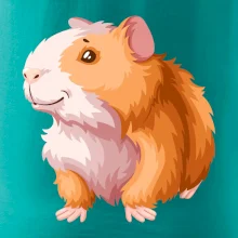 Morče - kreslené, bílo oranžové