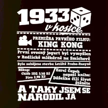 1933 v kostce