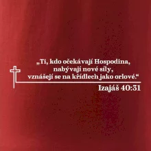 Citáty z bible - Izajáš 40:31