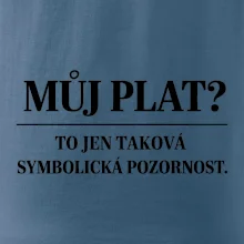 Můj plat? to jen taková symbolická pozornost