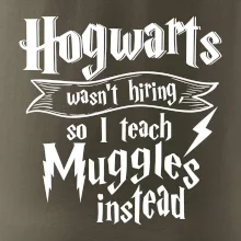 Harry - Hogwarts wasn’t hiring, so I teach Muggles instead