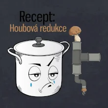 Recept houbová redukce