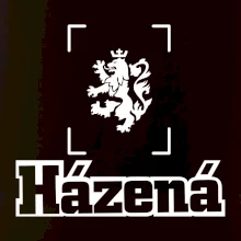 Národní házená lev