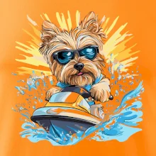 Yorkšírský teriér na vodním skútru