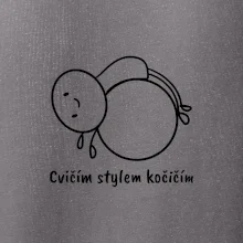 Cvičím stylem kočičím