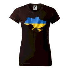 Ukrajina vlajka mapa