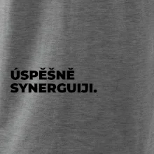 ÚSPĚŠNĚ SYNERGUIJI.